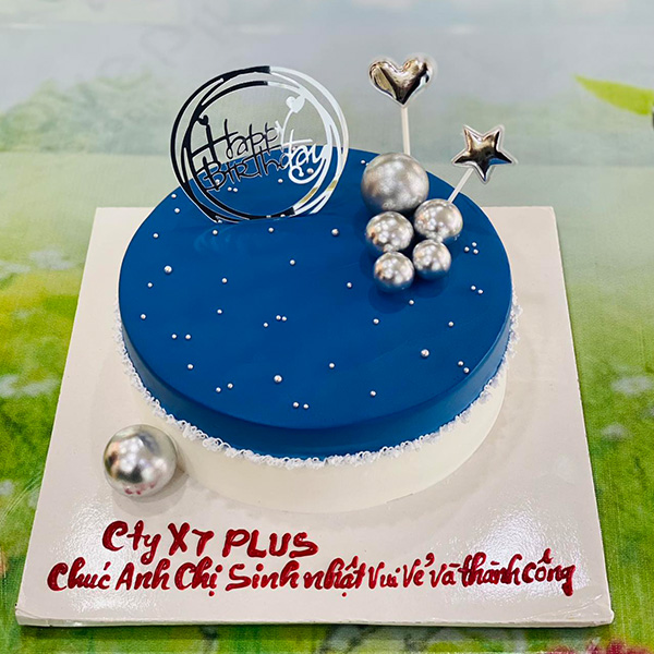 Mẫu 221